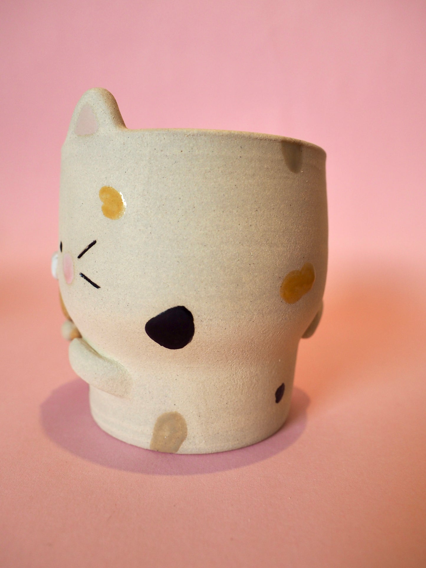 Mani Kitty Taiyaki Pot