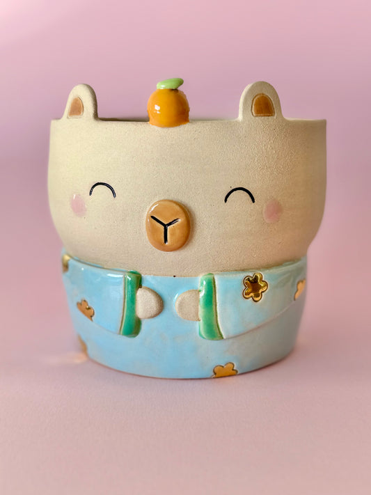 Capybara kimono planter